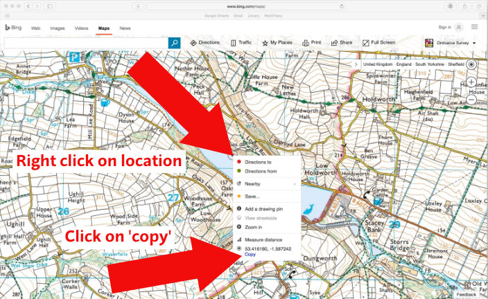 Get latitude and longitude from Bing Maps